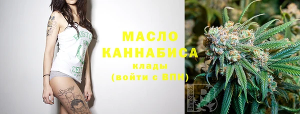 хмурый Аркадак