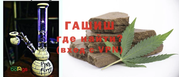 хмурый Аркадак