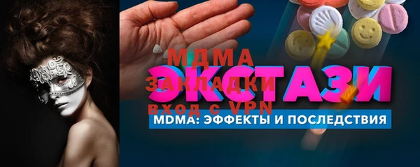хмурый Аркадак