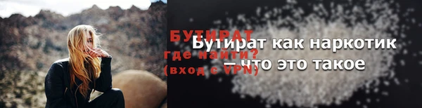хмурый Аркадак