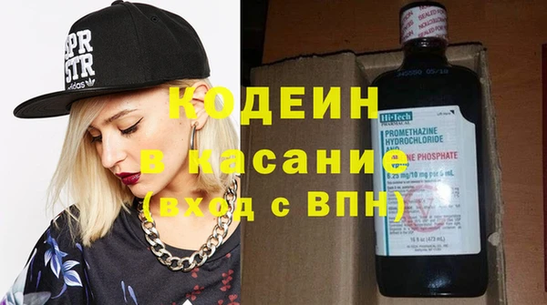 хмурый Аркадак