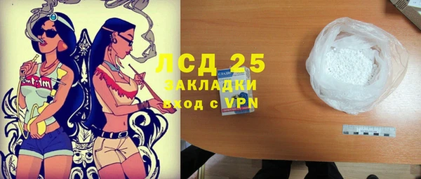 хмурый Аркадак