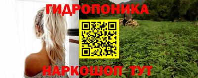 СК Канаш
