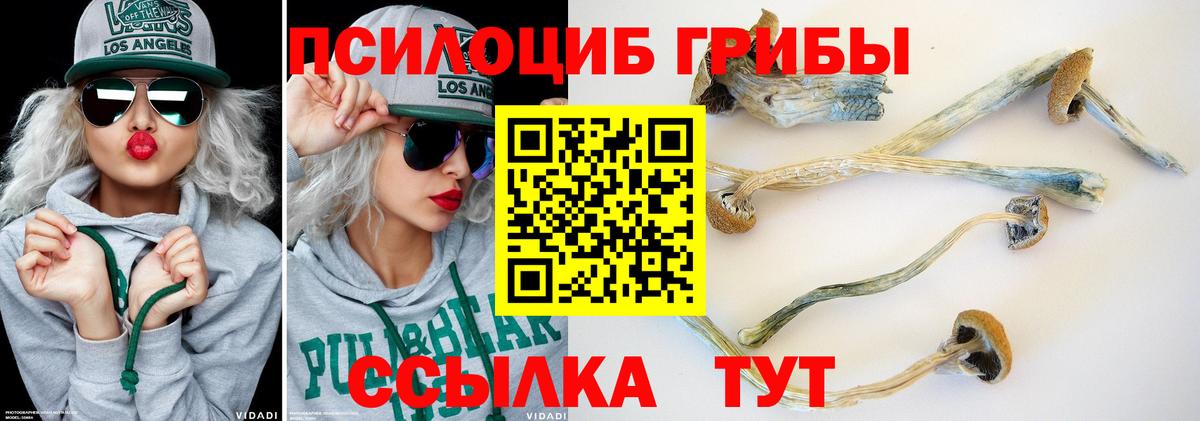 Псилоцибиновые грибы мицелий Набережные Челны